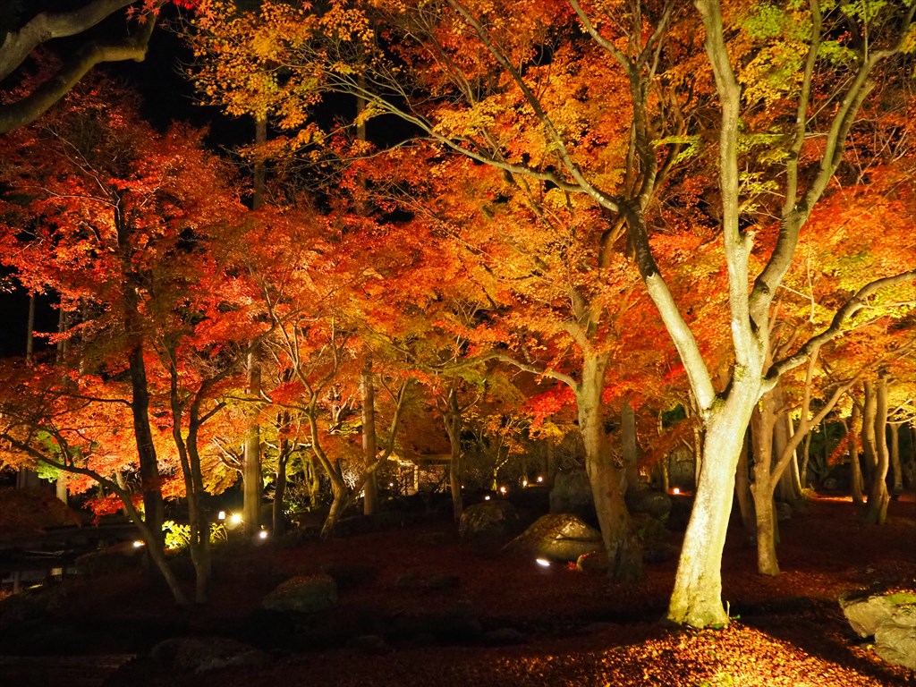 しょうざん庭園