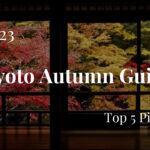 2023 Kyoto Autumn Guide